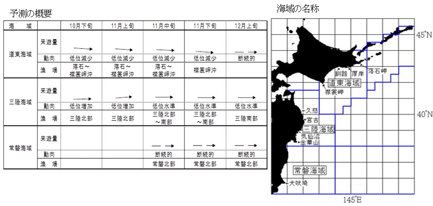 20261021saury_info001