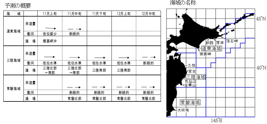 20261030saury_info001
